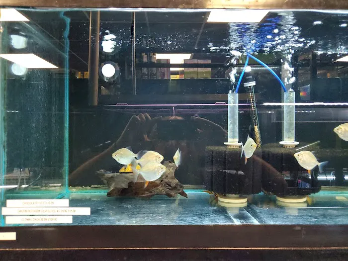 Animal Island Pet Shop Picture 4