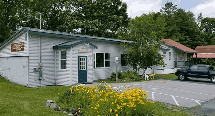 Saint Francis Veterinary Hospital PLLC Picture 7