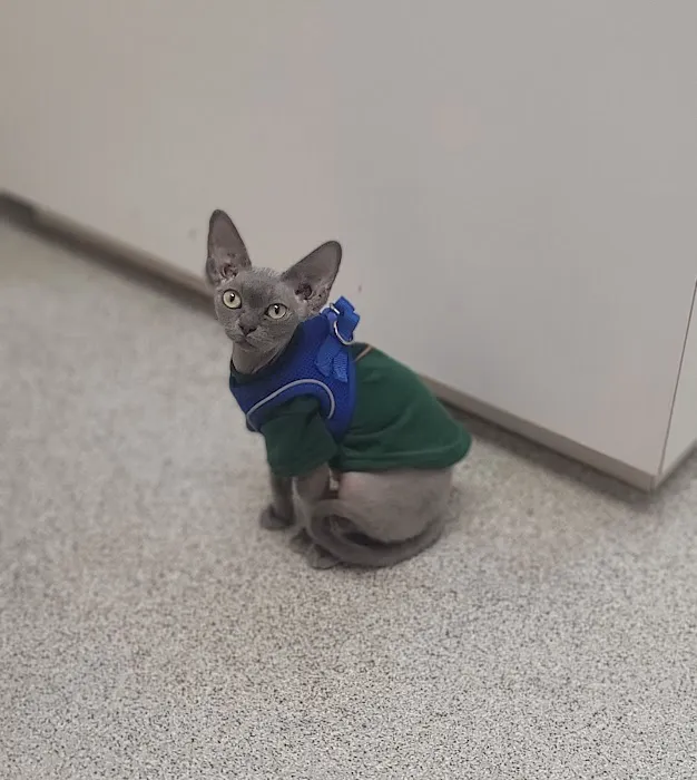 Fort Drum Veterinary Treatment Facility Picture 2