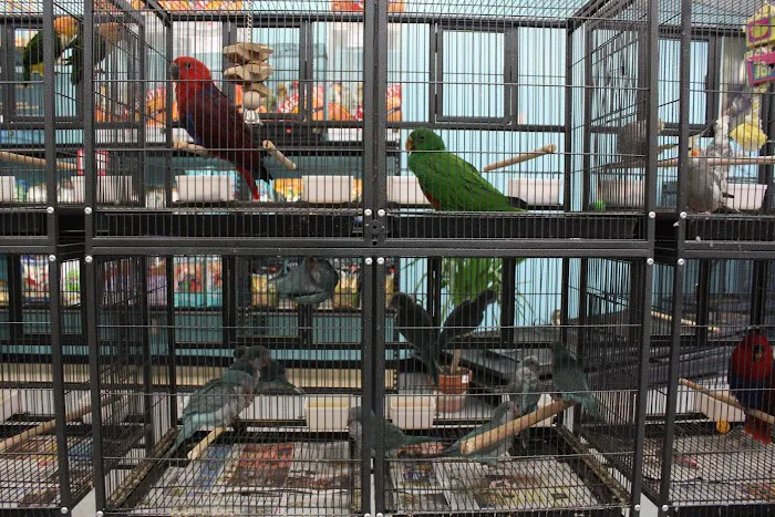 Birdman's Exotics Picture 3