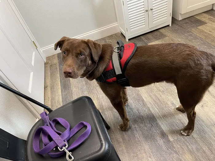 Valley Veterinary Clinic Picture 2