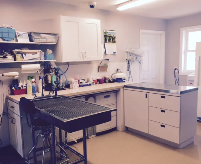 Valley Veterinary Clinic Picture 9