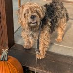 Valley Veterinary Clinic
