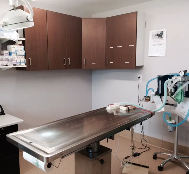 Valley Veterinary Clinic Picture 10
