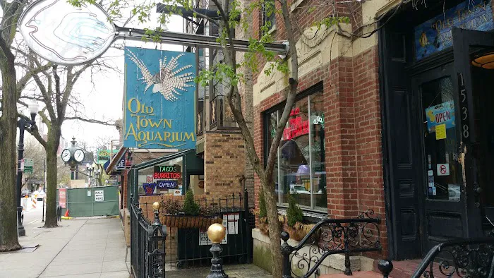 Old Town Aquarium Picture 1