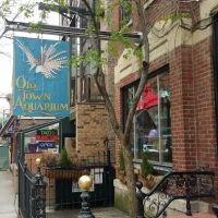 Old Town Aquarium ico
