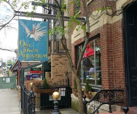 Old Town Aquarium