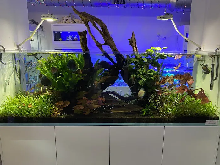 Old Town Aquarium Picture 7