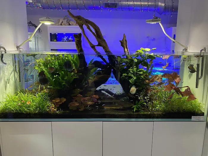 Old Town Aquarium Picture 8