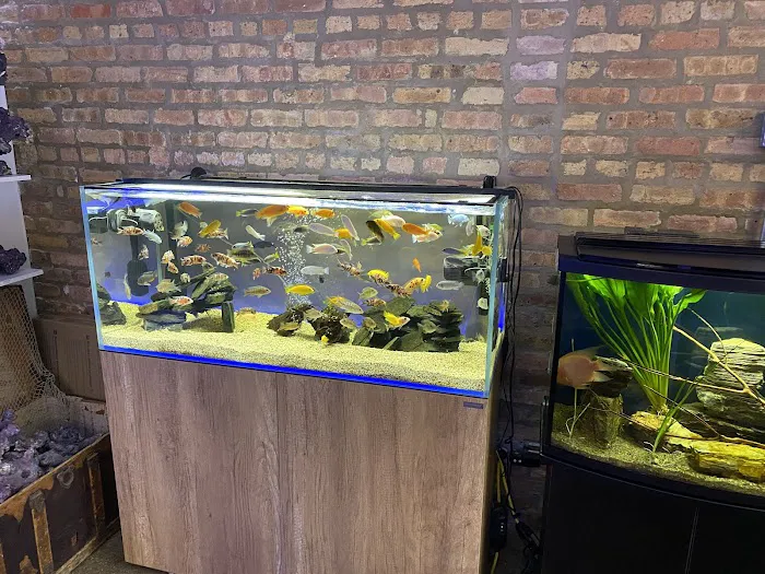Old Town Aquarium Picture 6