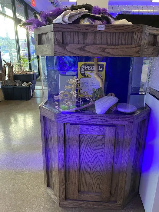 Old Town Aquarium Picture 10
