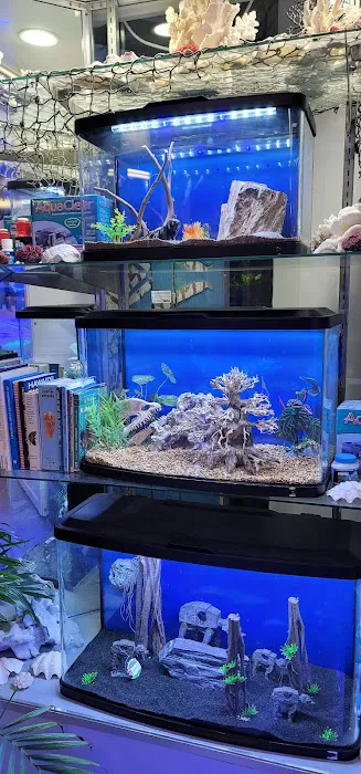 Old Town Aquarium Picture 4