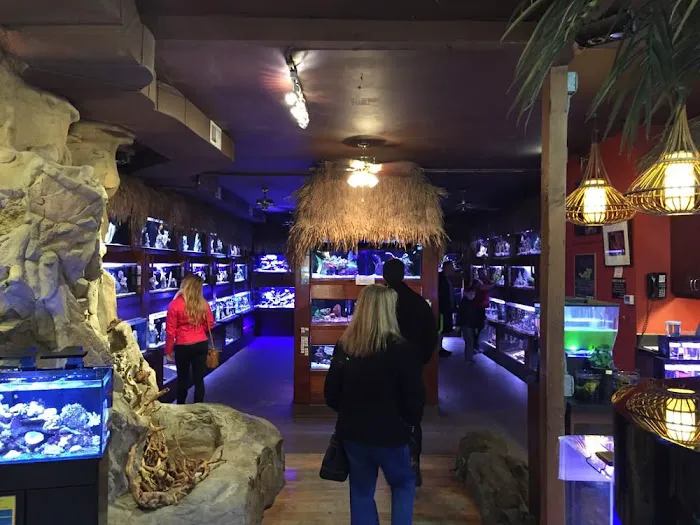 Old Town Aquarium Picture 2