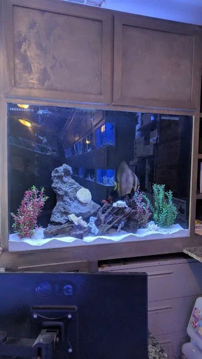Tank It Easy Picture 1