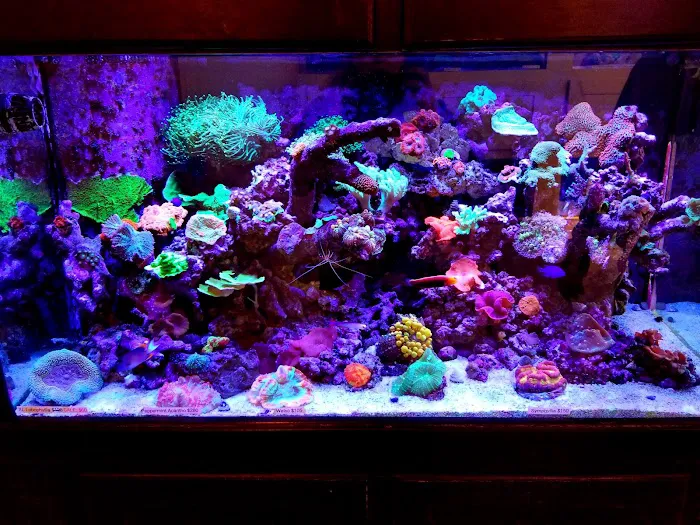 Tank It Easy Picture 8