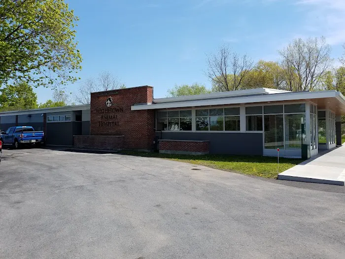 Watertown Animal Hospital, L.L.P. Picture 9