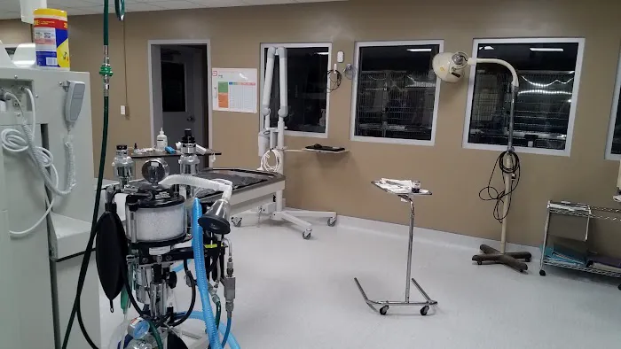 Watertown Animal Hospital, L.L.P. Picture 2