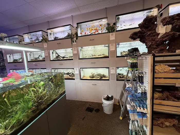 Big Fish Aquarium Picture 4