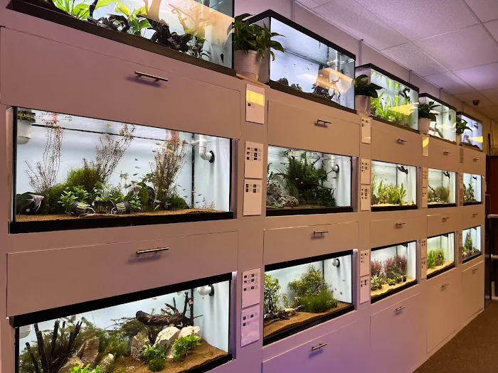 Big Fish Aquarium Picture 6