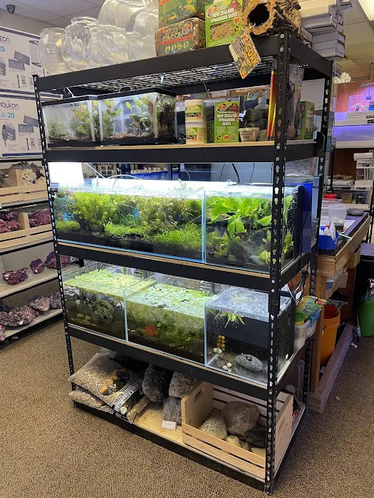 Big Fish Aquarium Picture 2
