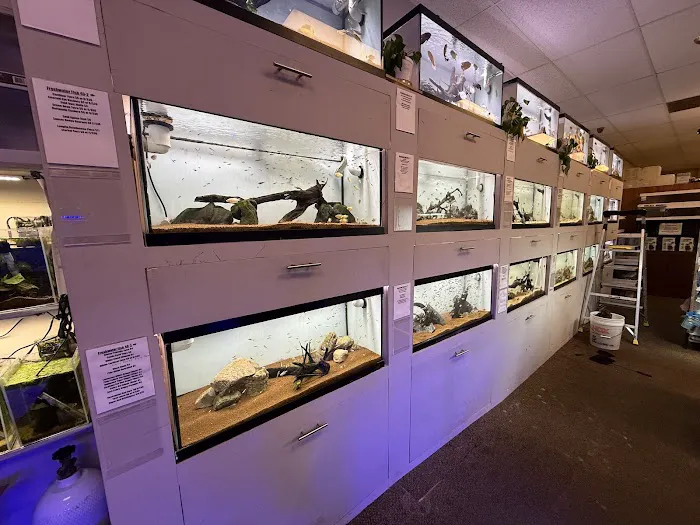 Big Fish Aquarium Picture 3