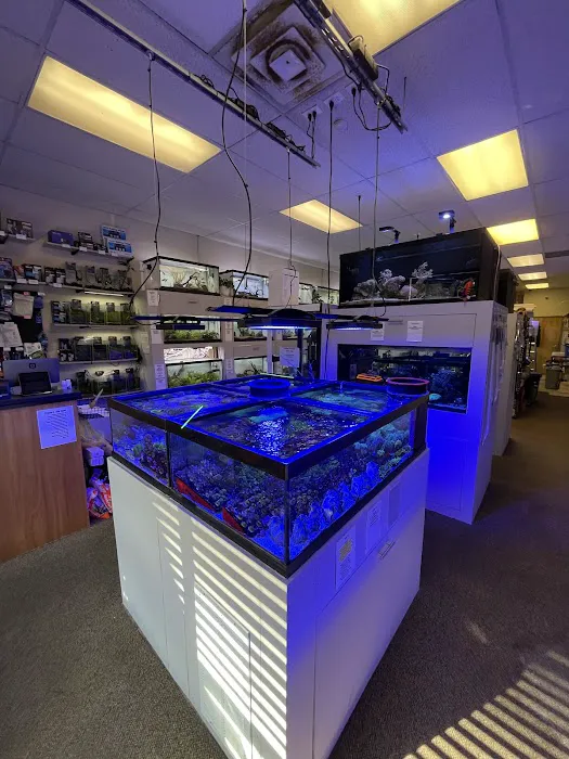 Big Fish Aquarium Picture 1