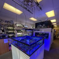 Big Fish Aquarium ico