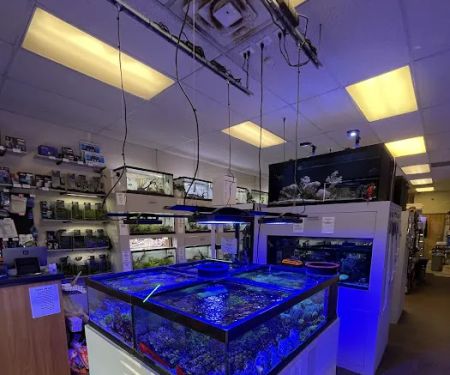 Big Fish Aquarium