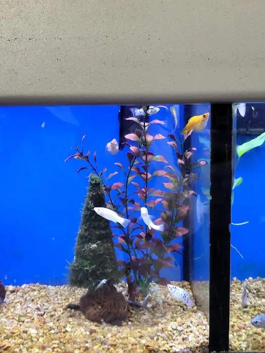 Petco Picture 4