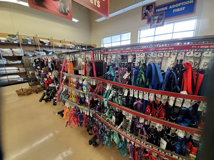 Petco Picture 8