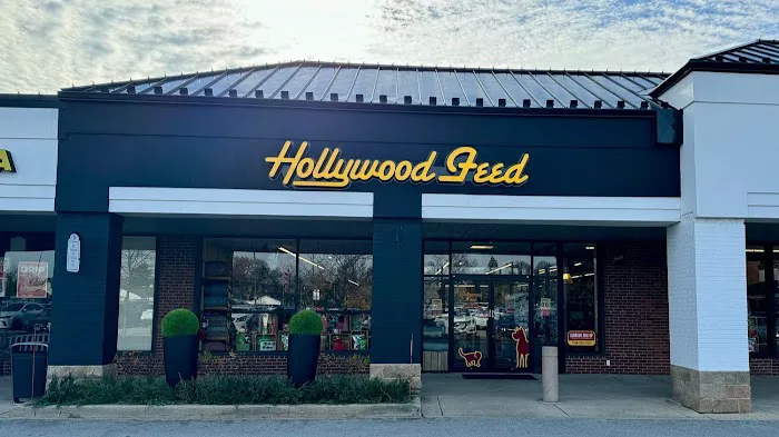 Hollywood Feed Picture 8