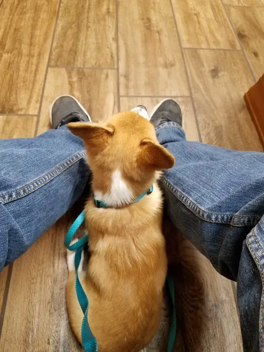 VCA North Country Animal Hospital Picture 8