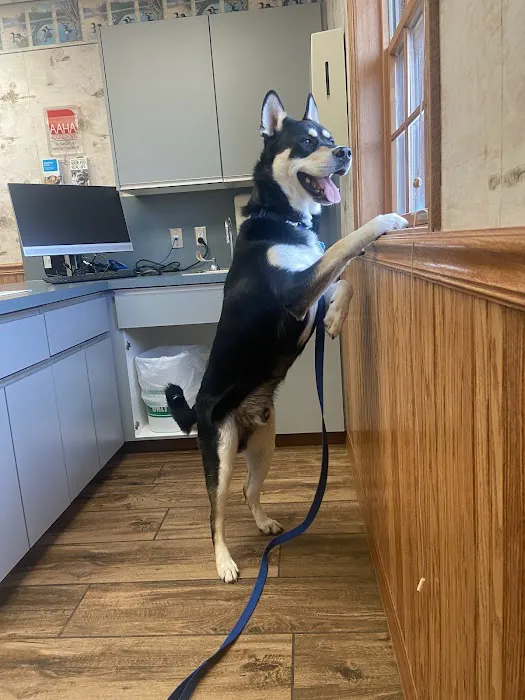 VCA North Country Animal Hospital Picture 10