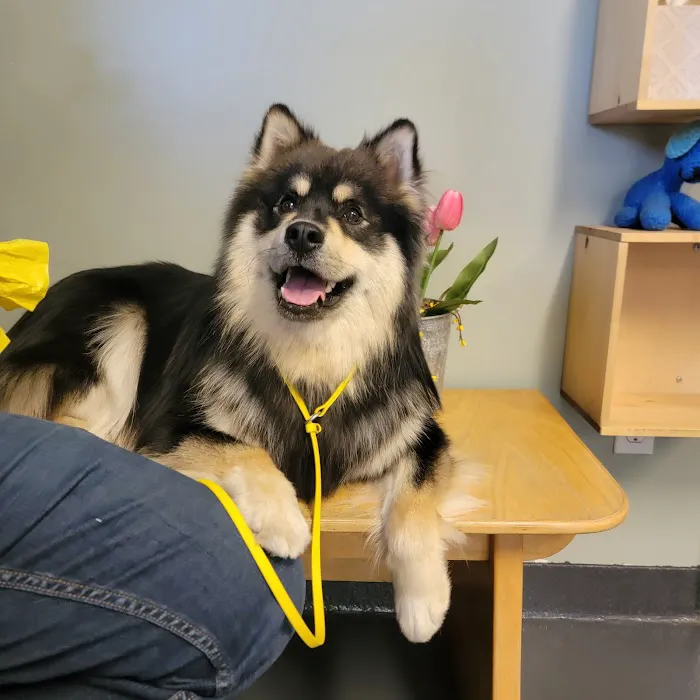 Kirby Veterinary Hospital Picture 1