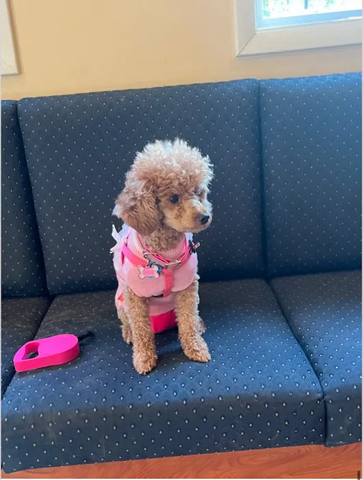 Kirby Veterinary Hospital Picture 3