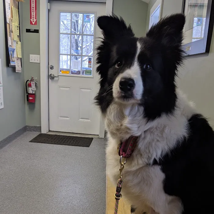 Kirby Veterinary Hospital Picture 4