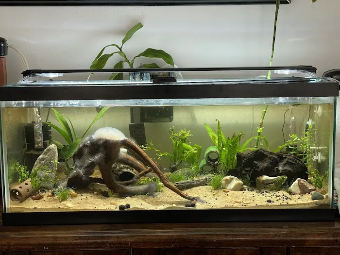Ocean Design Aquarium Picture 3