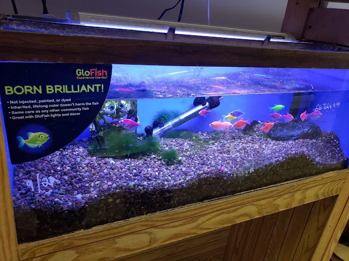Ocean Design Aquarium Picture 2