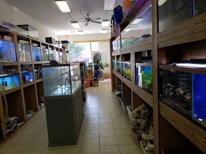 Ocean Design Aquarium Picture 1