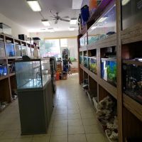 Ocean Design Aquarium ico