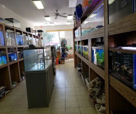 Ocean Design Aquarium