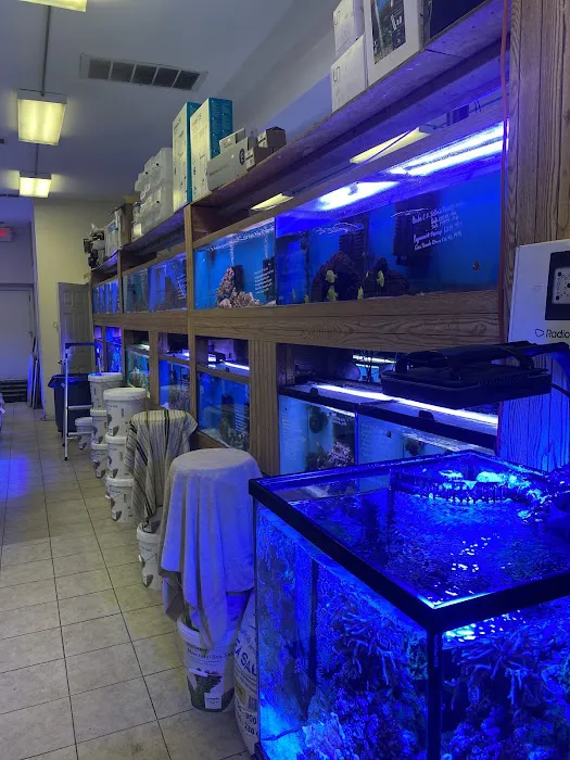 Ocean Design Aquarium Picture 5