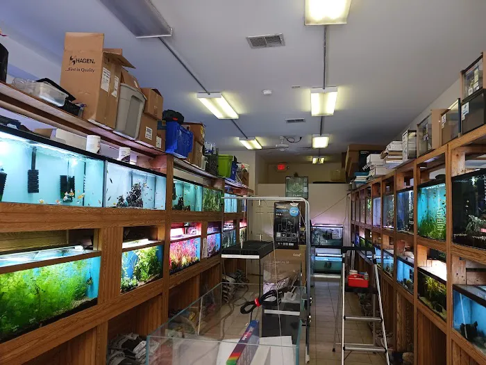 Ocean Design Aquarium Picture 7