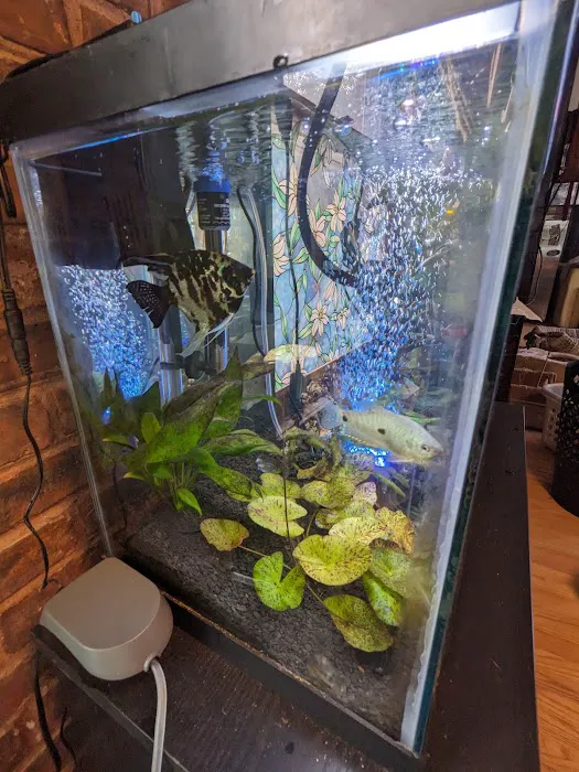 Ocean Design Aquarium Picture 6
