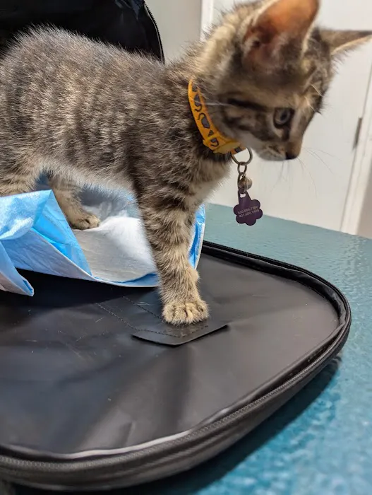 Lebanon Veterinary Hospital Picture 8