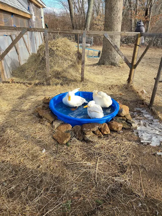Lebanon Veterinary Hospital Picture 2