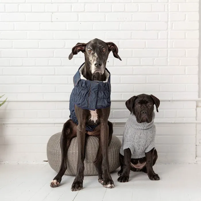 PetTee Apparel - Where Pets Come to Shop Picture 2