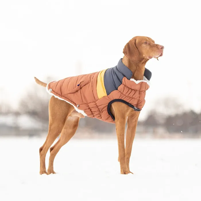 PetTee Apparel - Where Pets Come to Shop Picture 3