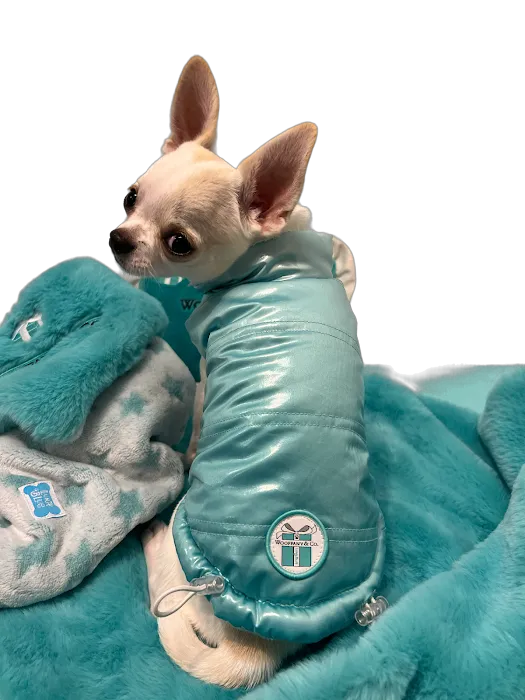 PetTee Apparel - Where Pets Come to Shop Picture 10