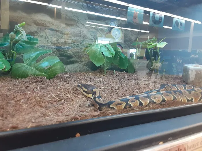 Petco Picture 10